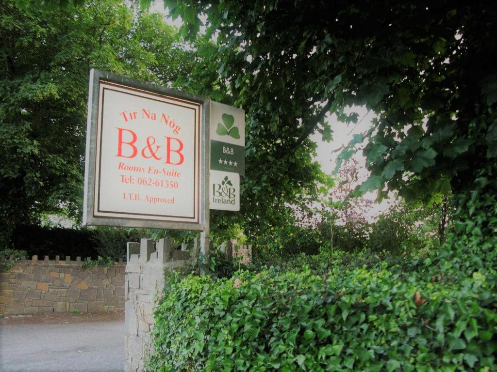Tir Na Nog B&B Cashel  Exterior foto